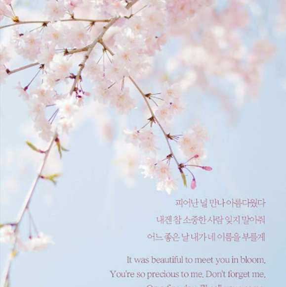 Meet your Posher, Tenyangdol - Picture 1 of 1